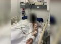 Detuvieron a la patota que atacó a un joven a la salida de una fiesta en Lomas