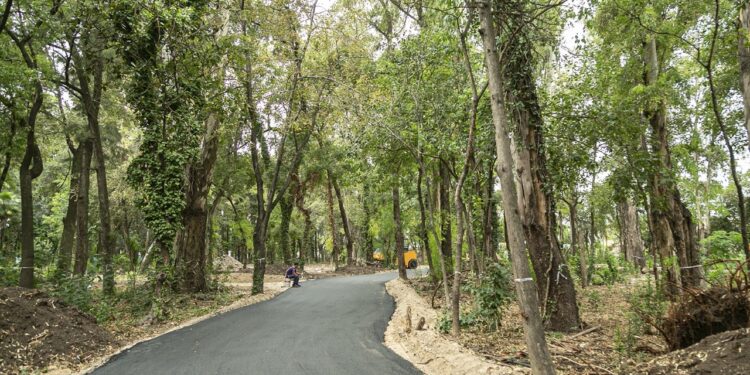 El municipio construye un parque saludable en la Quinta Ramón Carrillo