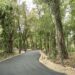 El municipio construye un parque saludable en la Quinta Ramón Carrillo