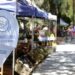 La feria de productores rurales vuelve con novedades a Adrogué