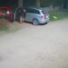 Video: un caniche héroe corrió a cuatro ladrones y evitó un robo en Glew