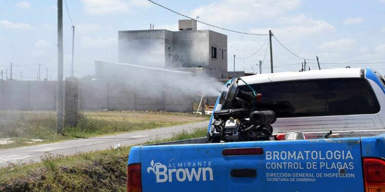 Profundizan las medidas de prevención del dengue en Almirante Brown