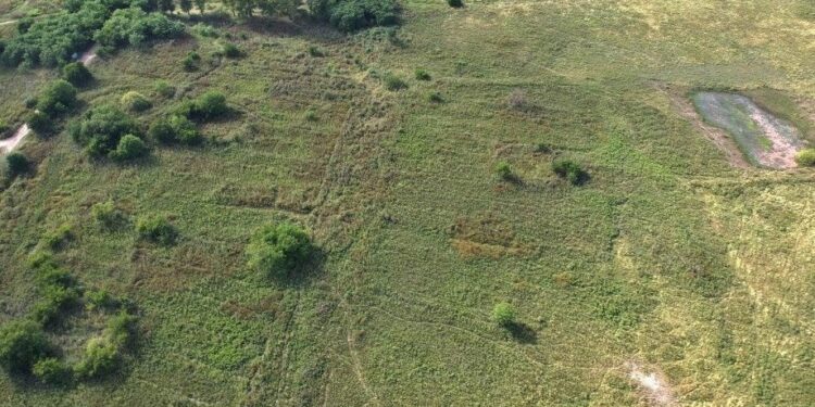 Por ley, la reserva de Longchamps es a partir de hoy un área natural protegida