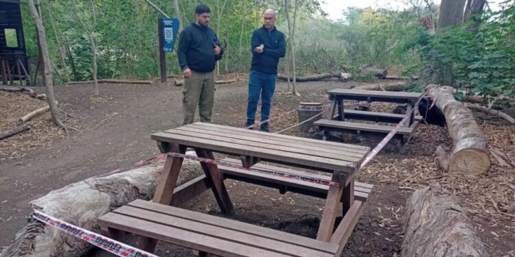Lomas: construyen un parque ambiental en la reserva Santa Catalina