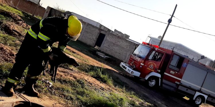 Rescataron a un perrito de un conducto pluvial en Longchamps