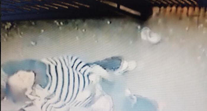 Video: agarraron del cuello para robarle en Longchamps a una mujer embarazada
