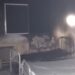 Adrogué: se incendió una habitación de una clínica psiquiátrica