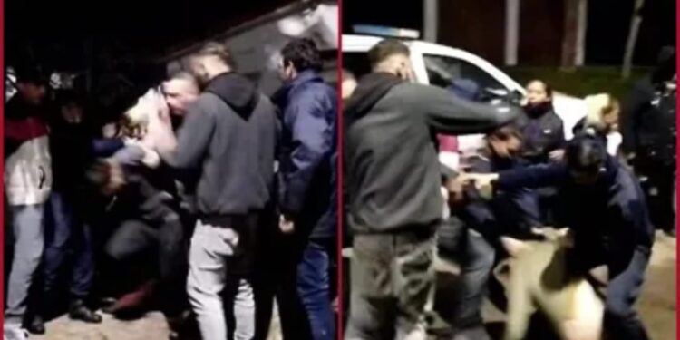 Longchamps: le robaron los ahorros a una mujer, destrozaron varias casas y los vecinos los lincharon