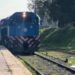 Polémica: ¿cuál es la estación de tren más picante del sur del conurbano?