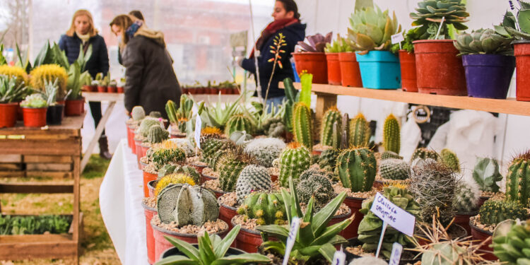 “Expo Cactus”: talleres, feria de artesanos y música en vivo a la vera de la laguna de Monte