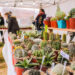 “Expo Cactus”: talleres, feria de artesanos y música en vivo a la vera de la laguna de Monte
