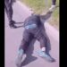 Vecinos capturaron a un hombre que baleó a otro tras robar una cerrajería en Quilmes