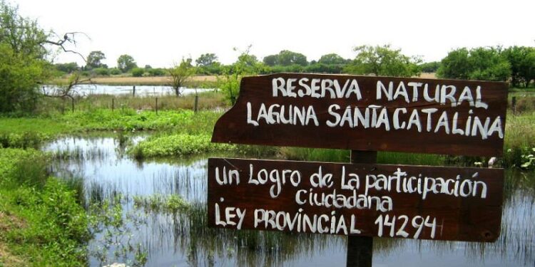 Santa Catalina: la palabra de un experto para entender un conflicto que parece no tener fin