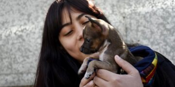 Zoonosis atendió 500 mascotas en un solo día y hasta el viernes hará castraciones en San José
