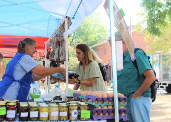 «Brown a cielo abierto», el fin de semana en Adrogué y feria de productores rurales en la Granja Municipal