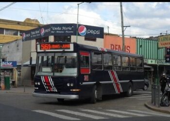 En Lomas, una mujer casi mata a golpes a una docente: «Las putas tortilleras me tienen harta»