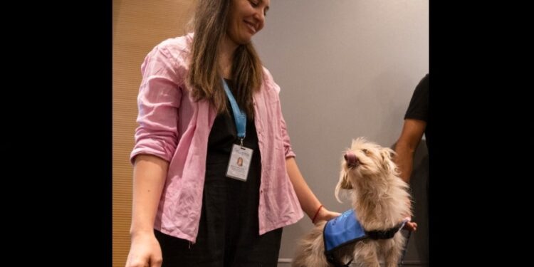 Varela: en El Cruce ya trabaja Benja, el primer personal canino del hospital