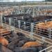 La carne bajó 25% en el Mercado de Hacienda: ¿se traslada la baja a las carnicerías?