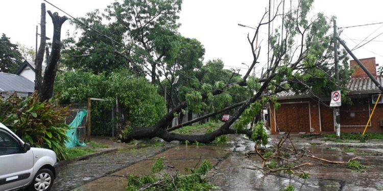 Vuelve a andar el tren Roca y las tormentas se alejan del AMBA