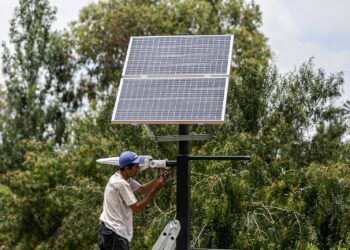 Ministro Rivadavia: colocaron paneles para iluminar la Granja Municipal con energía solar