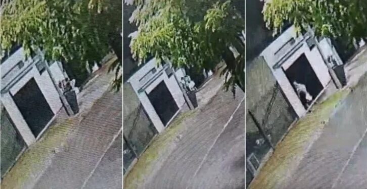 Llavallol: se robó los caños de dos medidores de gas y quedó filmado