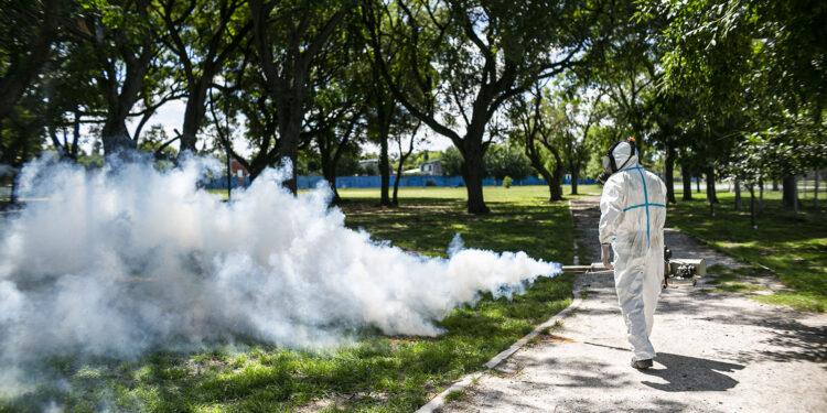 Ante la invasión de mosquitos, el municipio profundiza la fumigación en localidades y barrios