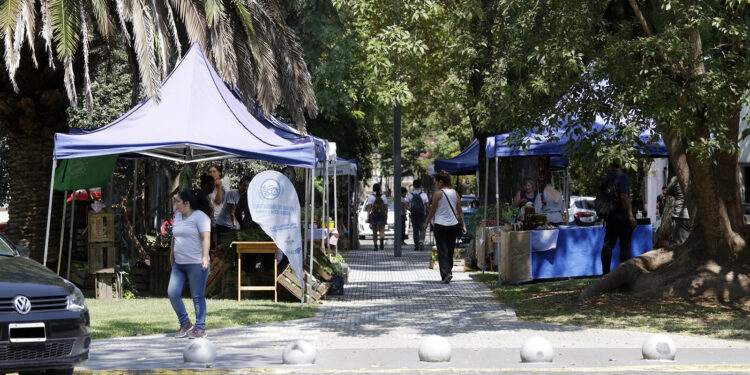 Con más productos y beneficios, vuelve la feria de productores locales a la Plaza Cerretti de Adrogué
