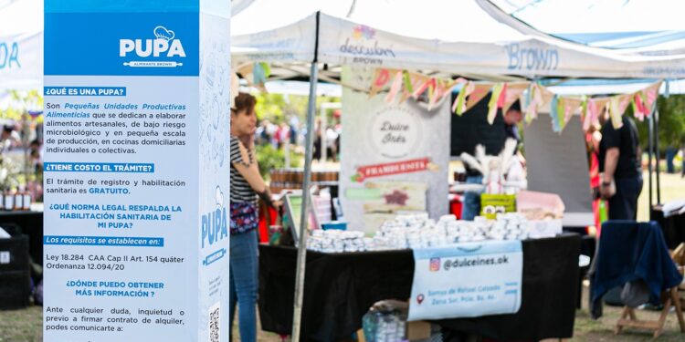 Qué es y cómo participar de PUPA, el programa de Brown para emprendedores