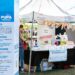 Qué es y cómo participar de PUPA, el programa de Brown para emprendedores