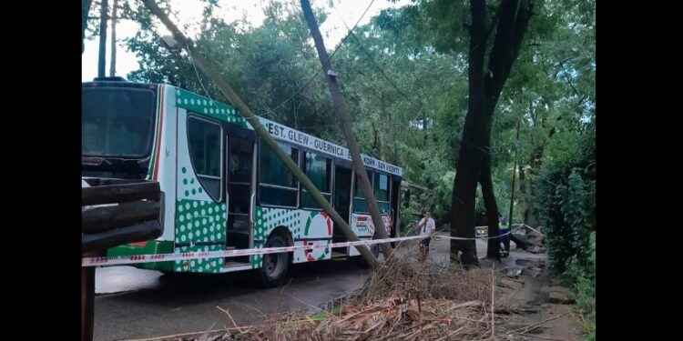 Glew: se cayó un poste de luz sobre un colectivo