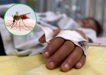 Se confirmaron 36.000 nuevos casos de dengue y 36 muertos en la última semana