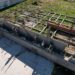 Calzada: continúan con fondos municipales la obra del natatorio frenada por Milei