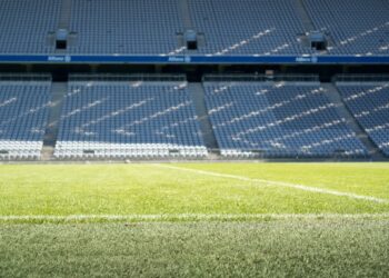 Todo lo que necesitas saber sobre la Liga Profesional 2024