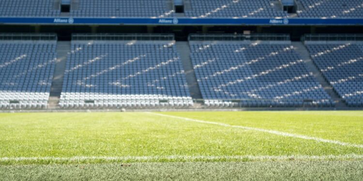 Todo lo que necesitas saber sobre la Liga Profesional 2024