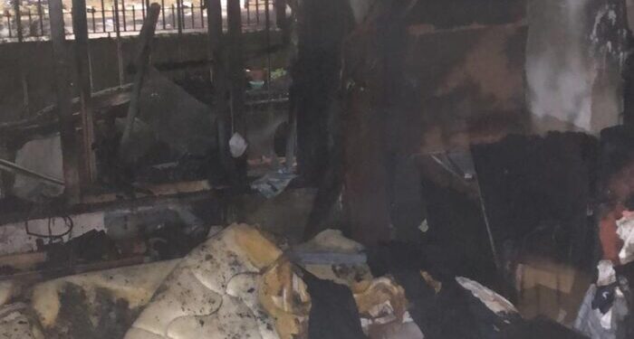 Los bomberos salvaron a una gatita en un incendio de una vivienda de Burzaco
