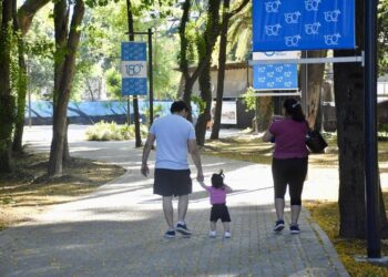 Fin de semana: feria, ajedrez y yoga en el parque Ramón Carrillo y productores rurales en la Granja Municipal