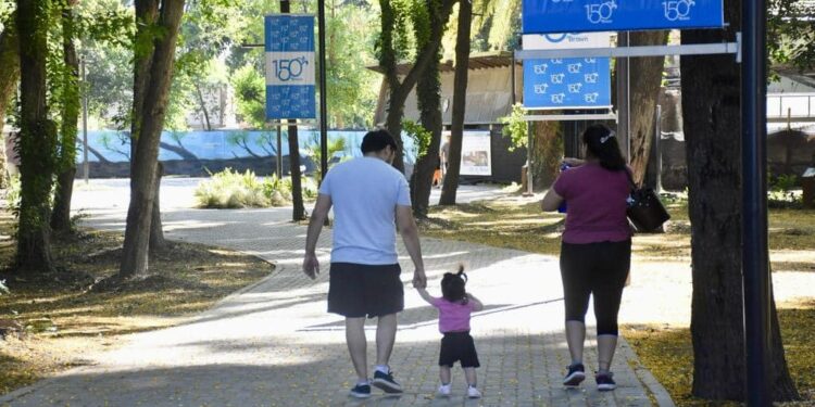Fin de semana: feria, ajedrez y yoga en el parque Ramón Carrillo y productores rurales en la Granja Municipal