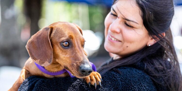 Zoonosis Brown profundiza la descentralización y desembarcó en Glew con un exitoso operativo