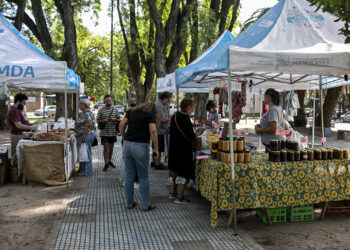 En junio vuelve el “Circuito de Ahorro Brown” con más productos de calidad y precios muy convenientes