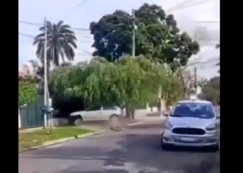 «El Toretto de Llavallol»: chocó contra una casa y puede quedarse sin licencia