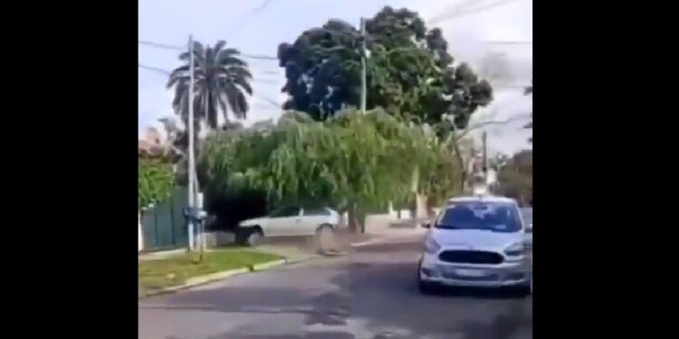 «El Toretto de Llavallol»: chocó contra una casa y puede quedarse sin licencia