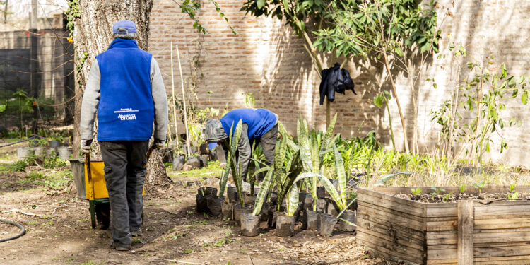 El municipio construye una huerta agroecológica y una compostera en el Parque Saludable Ramón Carrillo