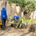 El municipio construye una huerta agroecológica y una compostera en el Parque Saludable Ramón Carrillo