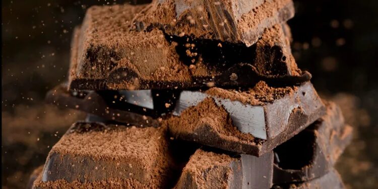 Expo Avellaneda Chocolate: degustaciones y más de 50 chocolateros