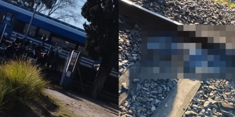 Banfield: se suicidó un hombre de 39 años arrojándose al paso del tren