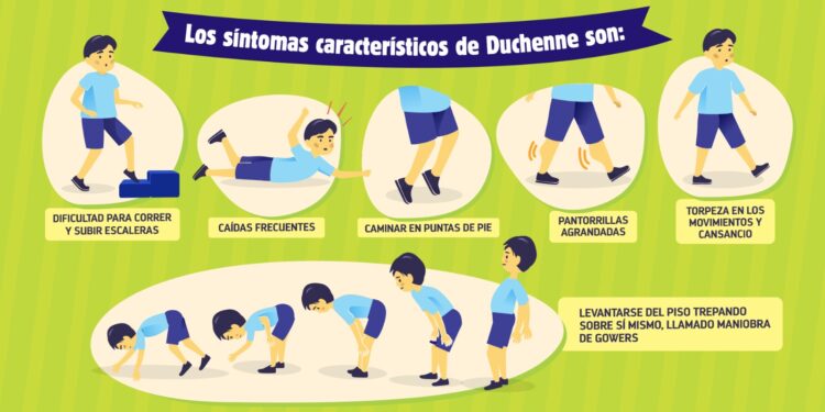 Qué es la distrofia muscular de Duchenne, que afecta a niños y cómo diagnosticarla a tiempo