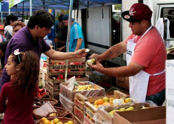 Circuito ahorro Brown: en que localidades está  y de cuánto son los descuentos