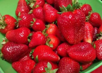 La fiesta de la frutilla del conurbano bonaerense: cuándo y donde será