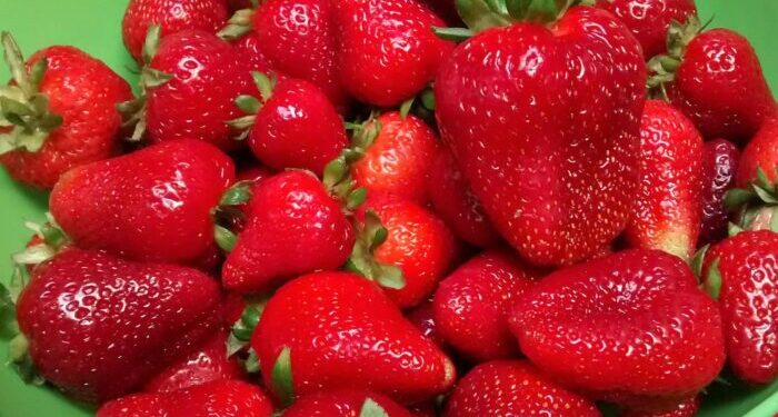 La fiesta de la frutilla del conurbano bonaerense: cuándo y donde será