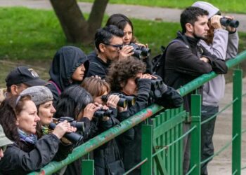 Curso gratuito de observación de aves en Lomas: en que consiste y dónde será